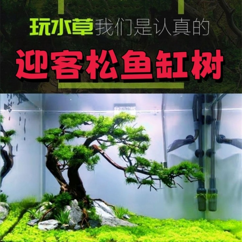 Professional Eco-Friendly Wood - Resin Art With Wood review and price
